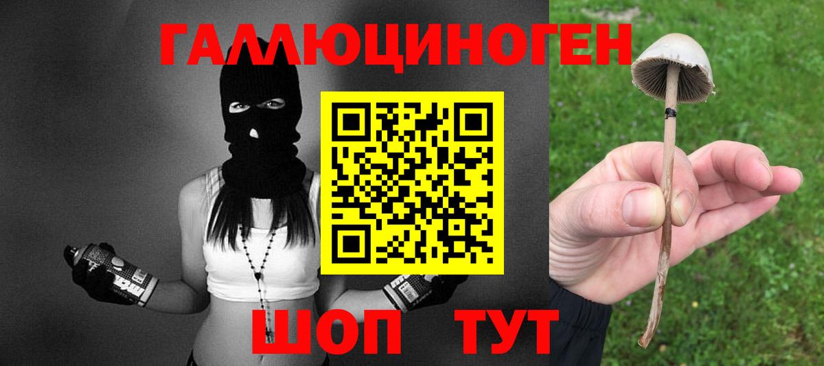 Каменск-Шахтинский  Псилоцибиновые грибы прущие грибы  Вход с VPN 